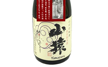 純米酒・特別純米酒・からくち本醸造 720ml 3本（定番セット）日本酒 永山酒造 アルコール 酒 晩酌 F6L-1354