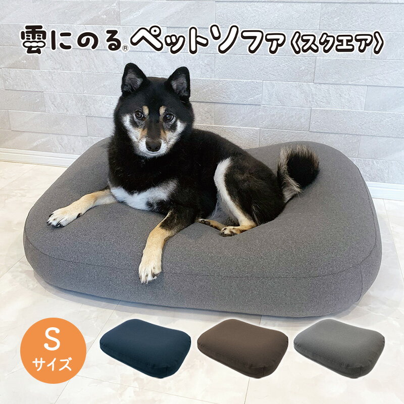 【ふるさと納税】ペットソファー 雲にのる ペットソファ スクエア 本体 Sサイズ カバー 付き 防水 ペットベッド ソファー ソファ クッション ペット ペット用品 犬 猫 インテリア 日用品 雑貨 MOGU mogu 兵庫県 兵庫　【 加西市 】