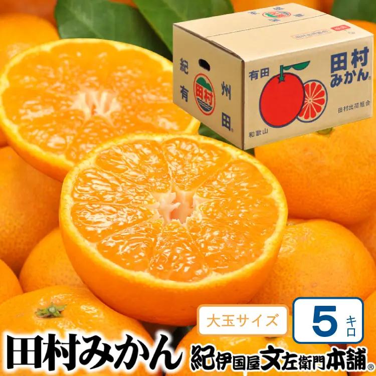 田村みかん 5kg 秀品【大玉サイズ】/紀州和歌山有田郡湯浅町田村地区産 ◆2026年11月下旬～2027年1月中旬頃に順次発送予定(お届け日指定不可)　紀伊国屋文左衛門本舗【ntb305B】