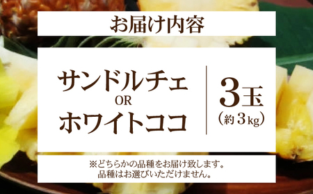 新品種パイン 『サンドルチェ』 または 『ホワイトココ』 3玉セット 約3kg 西表島産