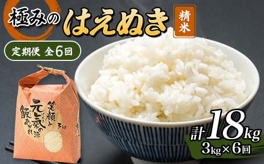 【令和8年産】定期便 全6回 極みのはえぬき（精米）3kg 米 お米 おこめ ふるさと納税 山形県 新庄市 F3S-2839