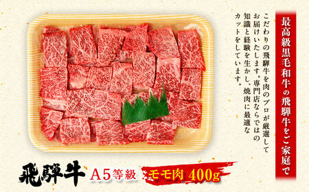 飛騨牛 A5 等級 焼肉 用 400g（ モモ肉 ） | 肉のかた山 やきにく M12S85