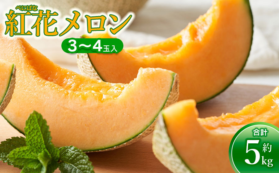 
            【令和7年産先行予約】 紅花メロン 5kg（3～4玉入）山形県鶴岡市産 庄内砂丘メロン　小林ファーム
          