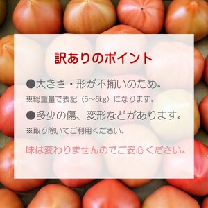 訳あり！ご家庭用に大活躍 夢追うトマト5kg～6kg【B0-244】