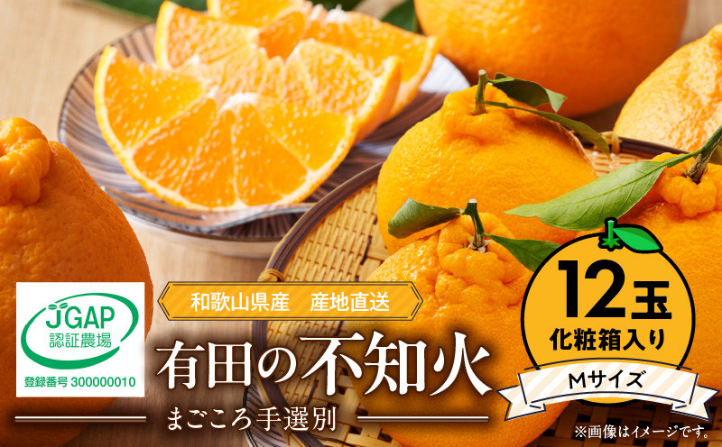 
            ZE6104n_【2026年先行予約】有田の不知火(しらぬひ）【化粧箱】 12玉（Mサイズ）まごころ手選別
          