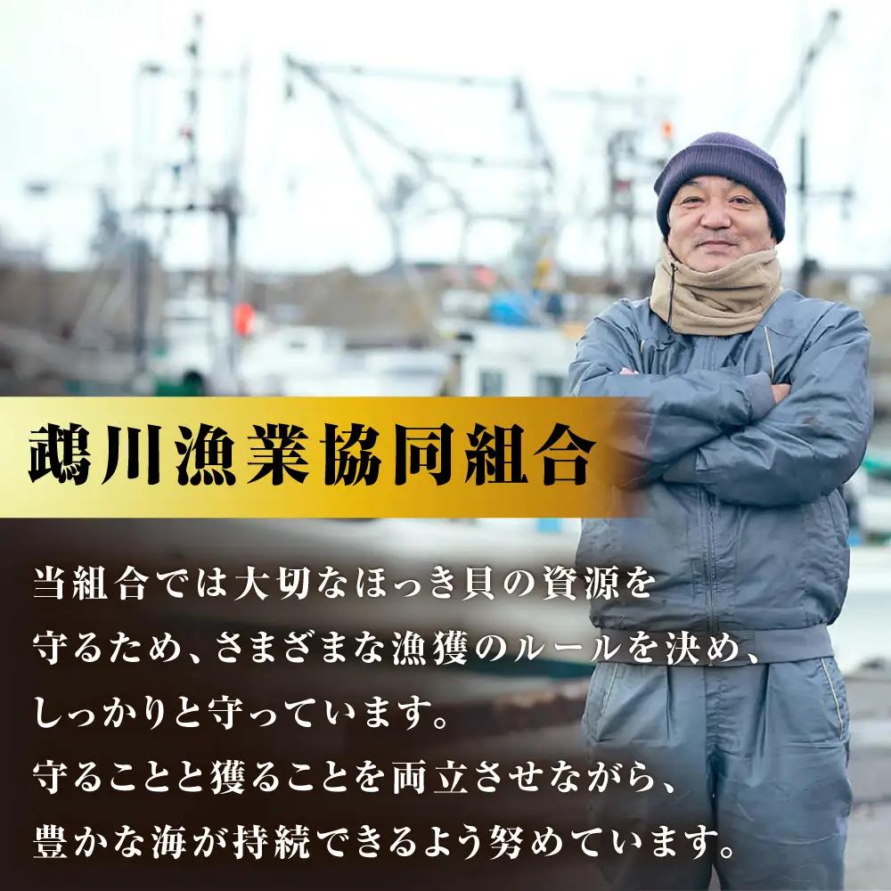 【2026年7月中旬以降順次発送再開】活ほっき貝 3kg 約10〜18個  ホッキ 冷蔵発送 [AXAL003]