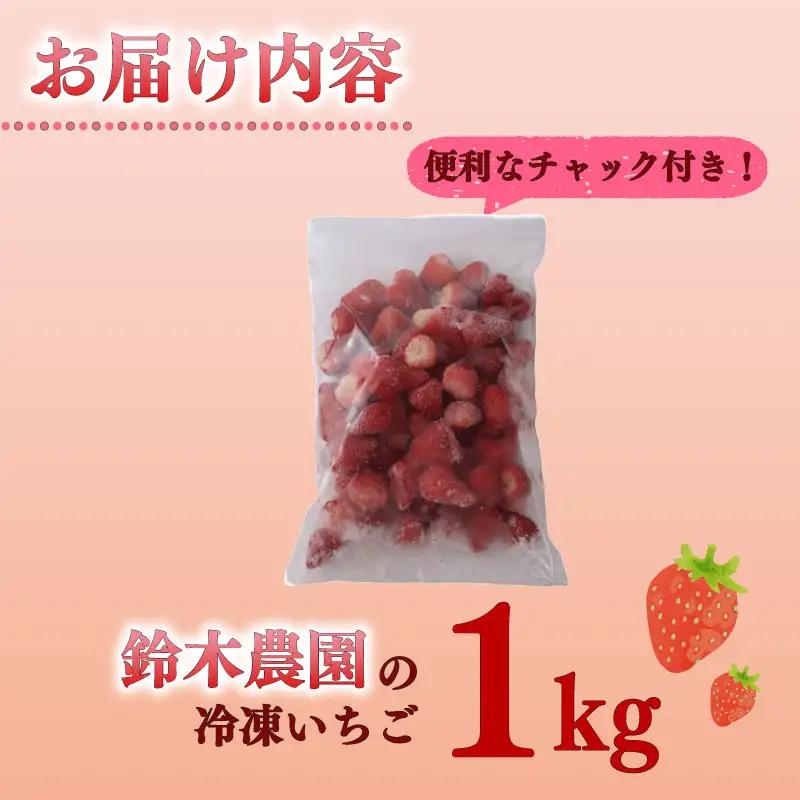 冷凍いちご いちご きらぴ香 1kg 苺 【冷凍いちご】 鈴木農園