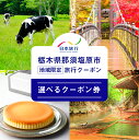 【ふるさと納税】 【選べるクーポン券】栃木県那須塩原市 日本旅行 地域限定旅行クーポン 栃木県 那須塩原市 旅行 チケット 宿泊 地域限定 クーポン 交通 観光 体験 ホテル 旅行券 夏休み 冬休み 送料無料