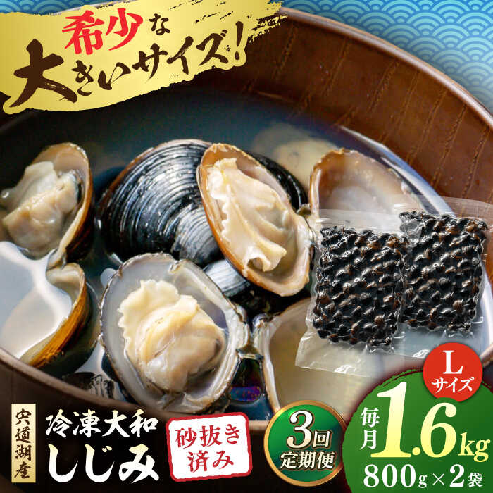 【ふるさと納税】【全3回定期便】しじみ 宍道湖産 冷凍大和しじみ 砂抜き済 Lサイズ800×2袋(1.6kg) 島根県松江市/しじみ市場株式会社[ALDK006]｜ しじみ シジミ 蜆 貝 魚貝類 魚介類 海鮮 簡単 お手軽 砂抜き しじみ汁 大和しじみ 宍道湖 冷凍 味噌汁 お吸い物 料理 人気