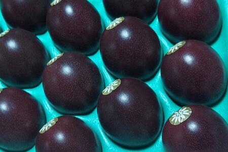 ★品切中★【2024年発送分 先行受付】パッションフルーツ 化粧箱15個入り（M玉）【たけはら農園】