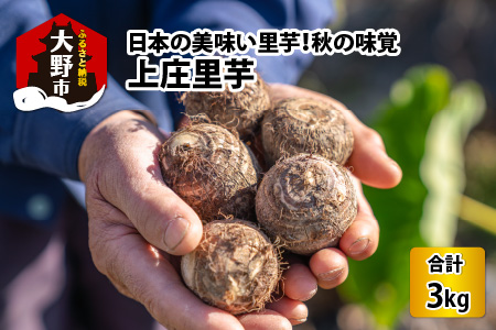 【先行予約】日本の美味い里芋！秋の味覚 上庄里芋 3kg【11月より順次発送】 [A-001005]