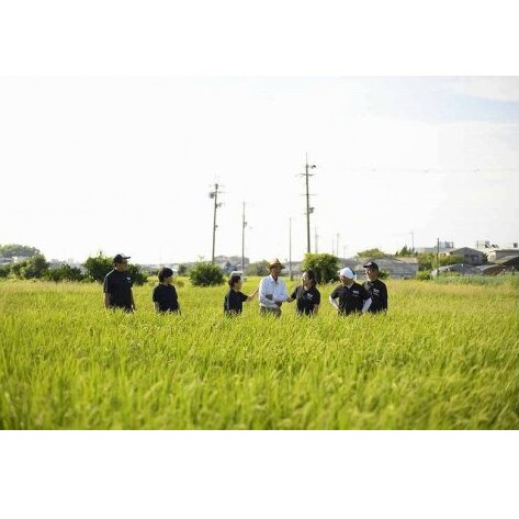 【Premium】水なすセット【新鮮 野菜 泉佐野産 茄子 やさい 高評価 数量限定】 020C066_イメージ3