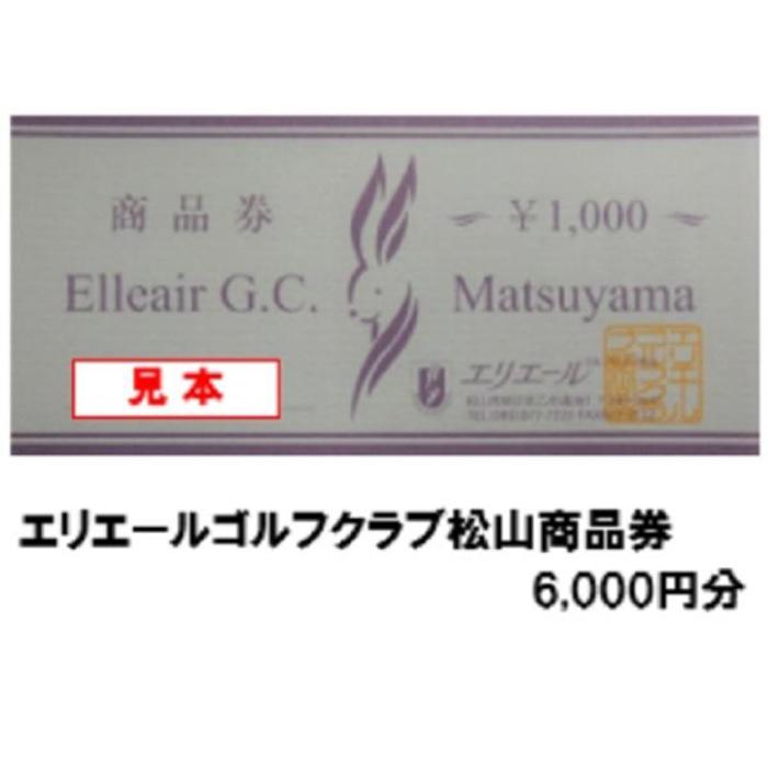 【ふるさと納税】 エリエールゴルフクラブ松山 商品券　6,000円分