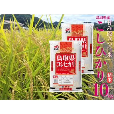 ふるさと納税 湯梨浜町 鳥取県産こしひかり◇精米10kg◇令和7年産(44M.)