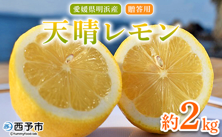 ＜天晴レモン 贈答用 約2kg＞ フルーツ 果物 くだもの レモン れもん 檸檬 柑橘 プレゼント 贈り物 お返し お礼 ギフト アレンジ 料理 国産 国産レモン 愛媛県産 特産品 株式会社笑丸 愛媛県 西予市【常温】『2025年9月～2026年1月に順次出荷予定』AAN0046
