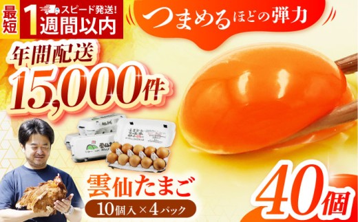 【常温配送】雲仙たまご 40個(10個入り×4パック) 長崎県/塚ちゃん雲仙たまご村 [42ACAE001] 玉子 タマゴ 鶏卵 長崎 島原 ギフト 小分け  スピード 発送 配送 最速 最短 すぐ届く すぐ発送