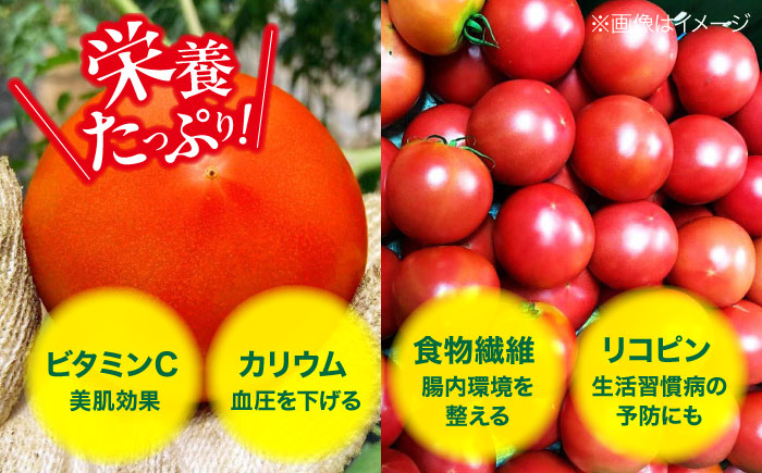 【先行予約】【4月中旬から順次発送】トマト 桃太郎ネクスト 24〜28個入り（約3.5kg〜4kg） 愛媛県大洲市/にのみや農園 トマト とまと tomato 野菜 旬野菜 春夏野菜 [AGDG007