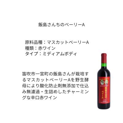 ふるさと納税 山梨市 東晨洋酒 飯島さん家のベーリーA 無添加ワイン |  | 01