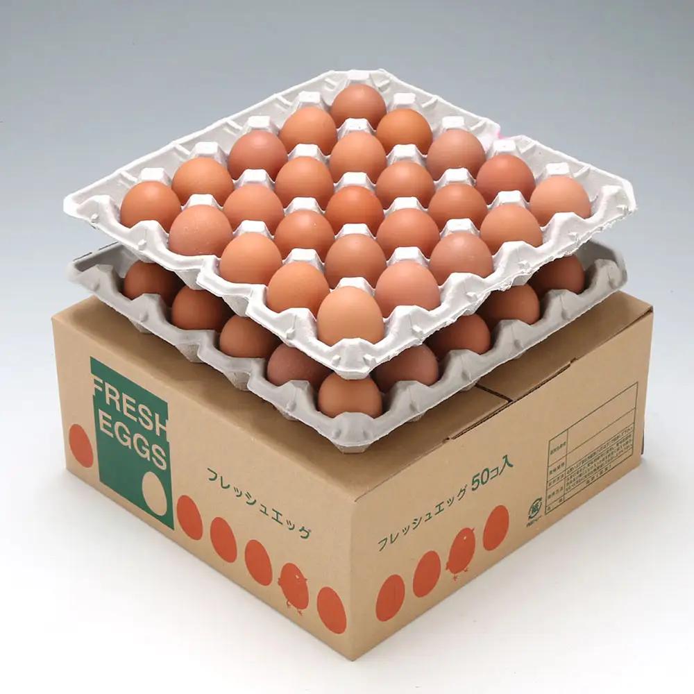 【定期便】地養卵 50個 MS~Lサイズ 6ヶ月 毎月お届け 新鮮 卵 たまご 鶏卵 生卵 地養卵 赤たまご スズキのたまご【9月中旬発送】