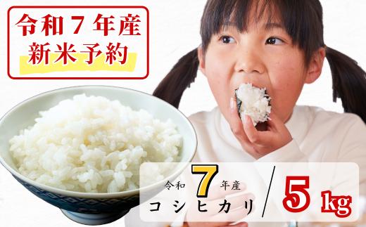 《令和7年産新米予約・10月ごろよりお届け開始》白米 5kg 令和7年産 コシヒカリ 岡山 あわくら源流米 K-af-AEDA