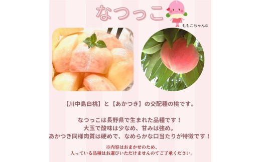 南信州産「桃」あかつき/なつっこ 約5kg 8～12玉 品種おまかせ＜2027年7月下旬より発送＞