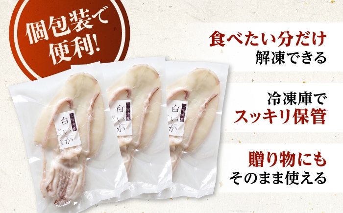 いか イカ 一夜干し 人気 おすすめ 冷凍 干物 いか一夜干し イカ一夜干し 一夜干し
