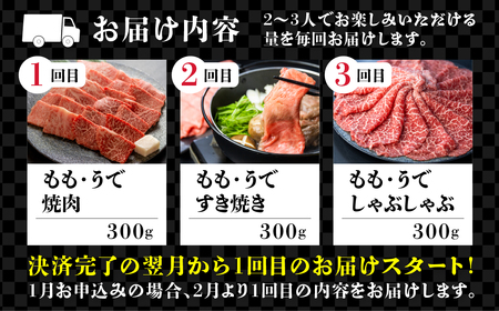 定期便 3回 飛騨牛 5等級 赤身 ウデ モモ しゃぶしゃぶ すき焼き 焼肉 2～3人前 3ヵ月 国産牛 国産 牛肉 肉 和牛 厳選 肉の沖村[Q2340]