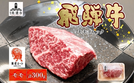 飛騨牛 モモ ブロック 和牛 飛騨牛【300g×1P 計300g】【冷凍】