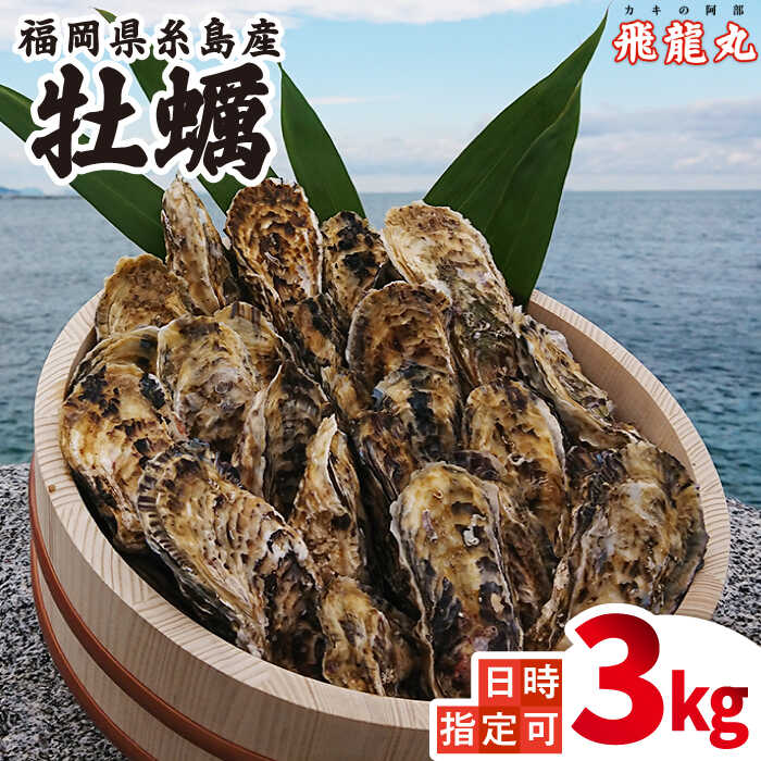 【ふるさと納税】加熱用 福吉の牡蠣 3kg 殻付き (簡易ナイフ付き) 牡蛎 カキ 糸島市 / 飛龍丸 [AZB002]