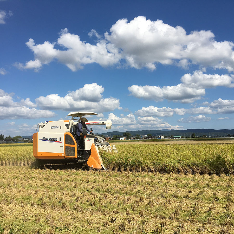 新潟加茂産植酸栽培コシヒカリ「伝」精米20kg［伝 精米5kg×4袋］