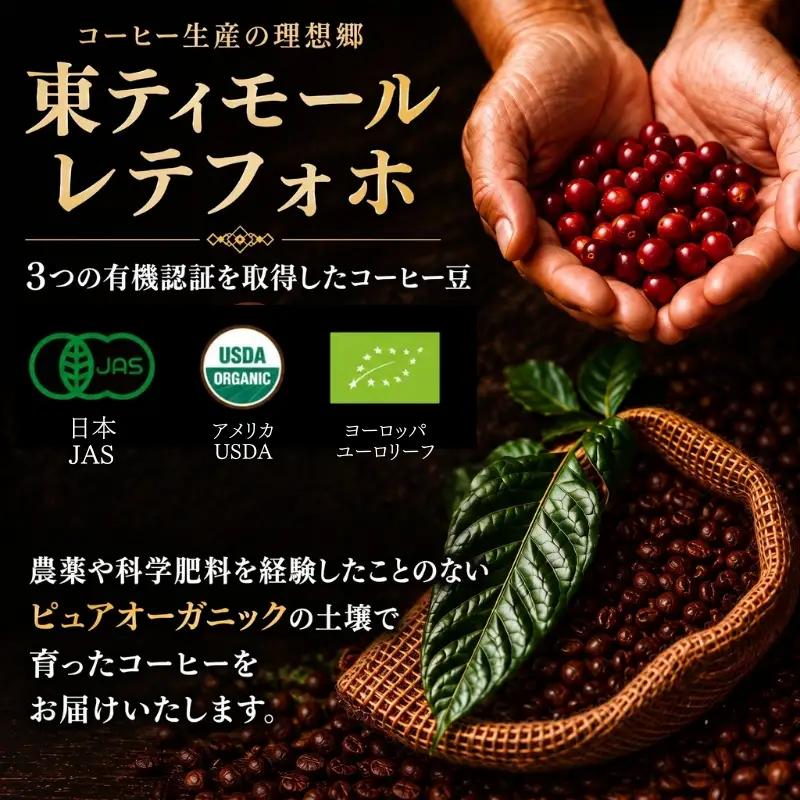 自家焙煎豆スペシャルティコーヒー 3回定期便 1.2kg(100g×4種類×3ヶ月) コーヒー豆