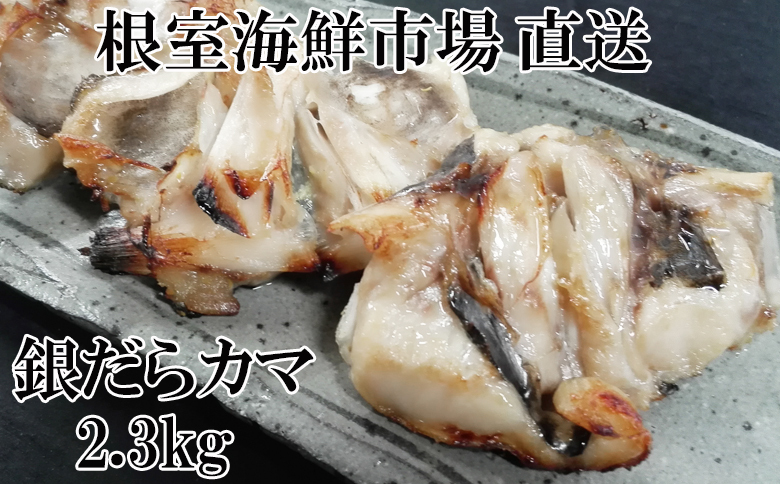銀だらカマ2.3kgA-11138