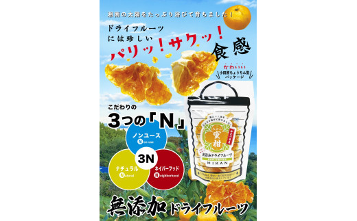 無添加ドライフルーツ(みかん)20g×2袋入【 神奈川県小田原市 】