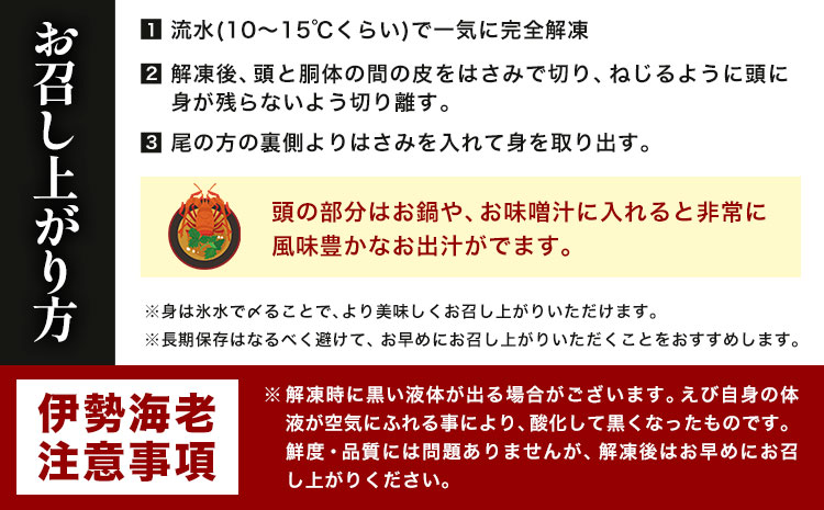 【刺身OK】千葉県勝浦産 生冷活〆 天然伊勢海老 3kg 6-11尾入 株式会社串浜水産《90日以内に出荷予定(土日祝除く)》千葉県 勝浦市 伊勢海老 海老 えび【配送不可地域あり】（離島）【1506