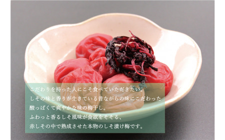 梅干し しそ風味梅干し 1kg【化粧箱タイプ】【inm201B】