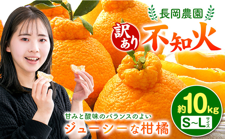 
            【先行受付】【訳あり】不知火 ( デコポン )と同品種 約10kg 長岡農園《2月中旬-4月上旬頃出荷》 和歌山県 日高川町 訳あり 不揃い 規格外 旬 柑橘 フルーツ 果物
          