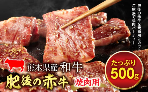 
FKP9-451 肥後の赤牛 焼肉用（500g）
