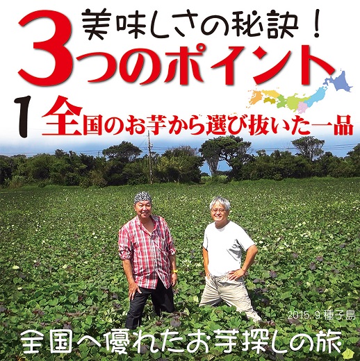 焼き芋 冷凍 冷やし焼き芋 シャリシャリちゃん 1kg(100g×10) 紅はるか＆シルクスイート　H047-033