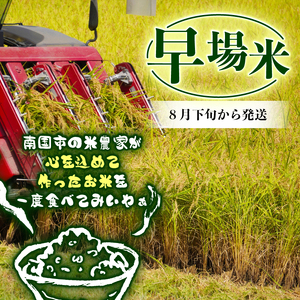 新米玄米コシヒカリ10㎏新米新米新米