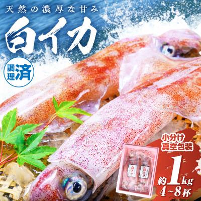 ふるさと納税 京丹後市 BBQにぴったり!白イカ(ケンサキイカ)　調理済み　正味1kg入り(4〜8匹)　※小分け真空包装