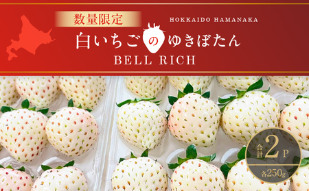 《数量限定》白いちご”ゆきぼたん”(計2パック) BELL RICH_H0049-002