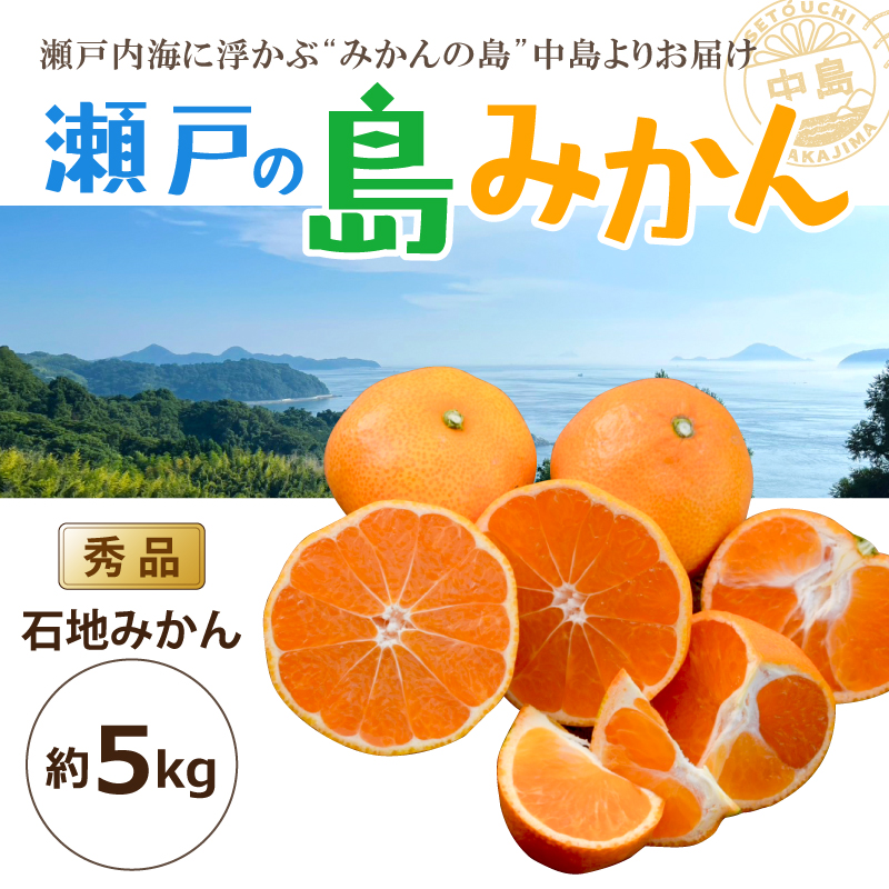 【2026年12月中旬頃から順次発送】 瀬戸内海の島みかん (秀品)【石地みかん】約5kg | 柑橘 みかん 密柑 オレンジ フルーツ 果物 愛媛県 松山市 ココオ Koko'o