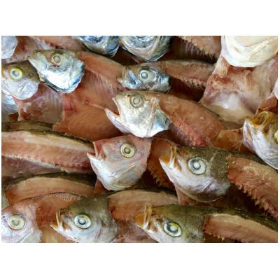 ふるさと納税 八幡浜市 竹中水産の八幡浜発!「匠の干物三昧セット3kg前後以上(約20枚)」【H22-177】 |  | 03