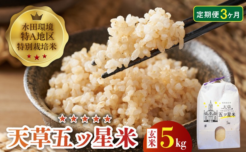 
S061-T07_【3ヶ月定期便】特別栽培米 天草五ッ星米 玄米 5kg
