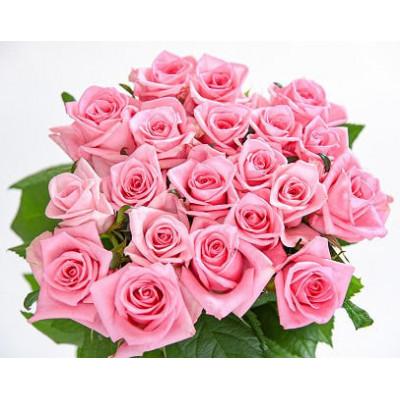 ふるさと納税 寒河江市 【ピンク系】薔薇の花 20本×長さ60cm (切り花延命剤付属)※ 配送不可 沖縄・離島