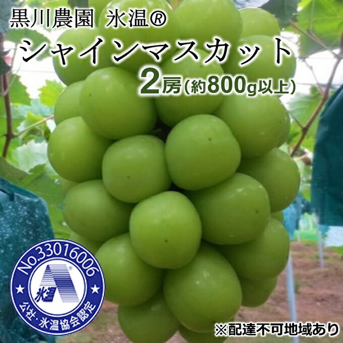 【ふるさと納税】早期受付 ぶどう 氷温(登録商標) シャインマスカット 2房（1房800g以上） マスカット ブドウ 葡萄 岡山県産 国産 フルーツ 果物 ギフト 黒川農園 果物類 　お届け：2025年11月上旬～2026年1月中旬