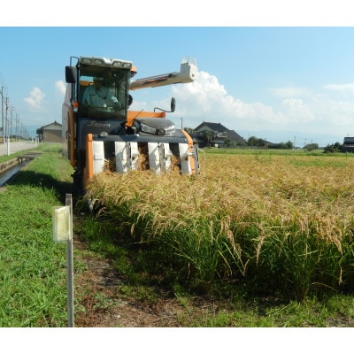【新米】令和8年産 富山県小矢部市産 てんたかく 玄米30kg(30kg×1袋)