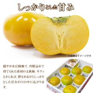 【先行予約】新食感甘柿 「太秋柿（たいしゅうがき）」 約3.5kg フルーツ ふるーつ 果物 くだもの 三豊市【配送不可地域：北海道・沖縄県・離島】_M02-0022  柿 かき カキ