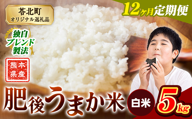 【12ヶ月定期便】米 熊本県産 肥後うまか米 5kg 熊本県産 ふるさと納税 白米 精米 こめ ふるさとのうぜい コメ お米 おこめ ブレンド米《お申込み翌月から出荷》---reihoku_loc_485_mo12---