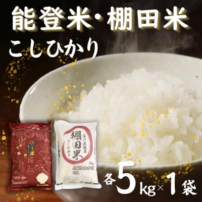 ふるさと納税 七尾市 【令和7年産】能登米コシヒカリと棚田米コシヒカリ5kg(合計10kg) お米食べ比べセット